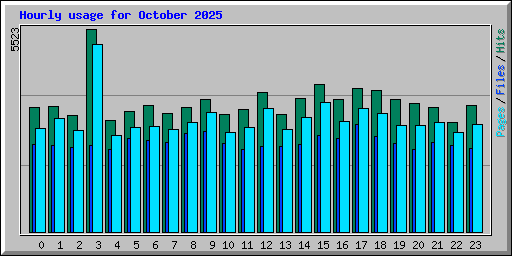 Hourly usage for October 2025