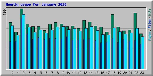Hourly usage for January 2026